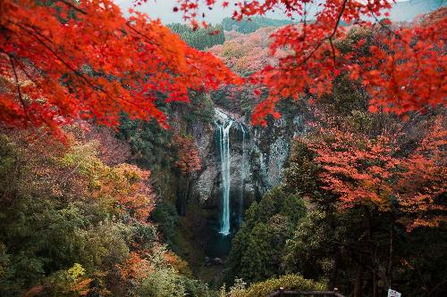 福貴野の滝11月